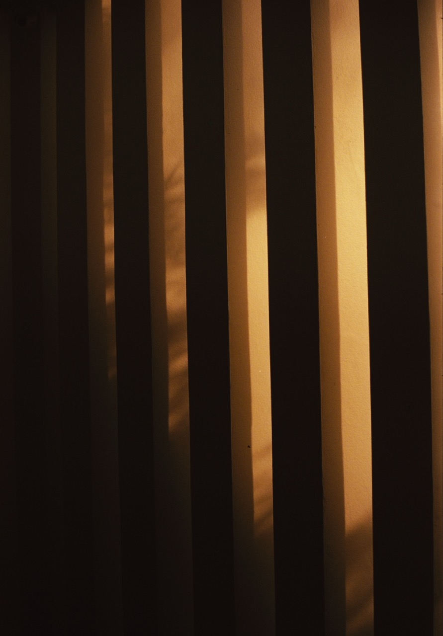 Preview of orange