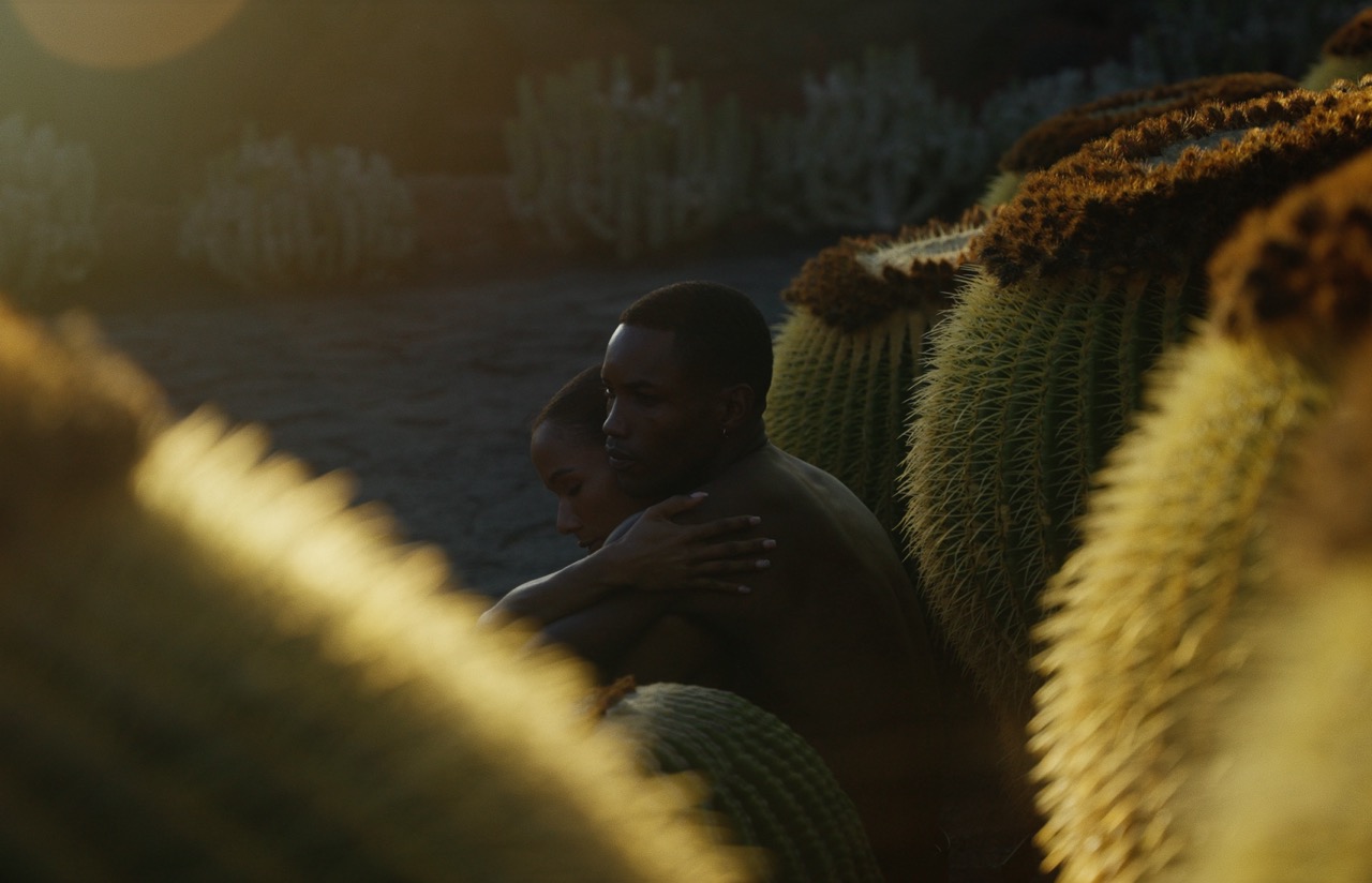 Cinematography Reel - image 3