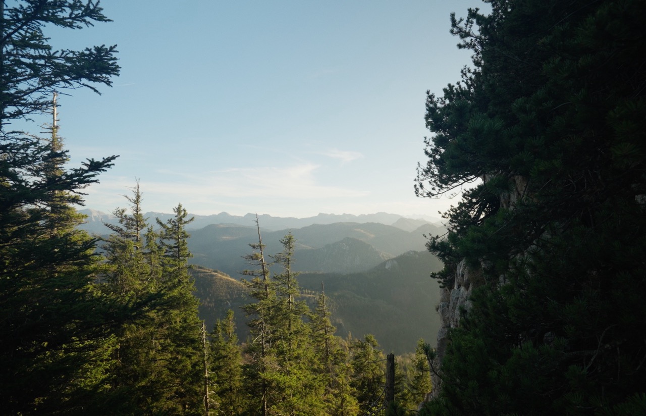 Cinematography Reel - image 8