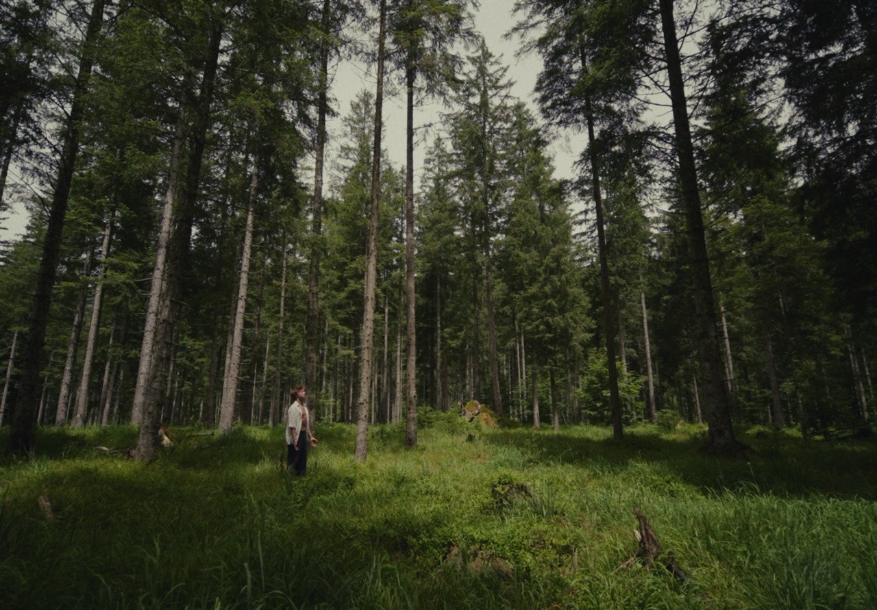 lukas karlinger  - image 4