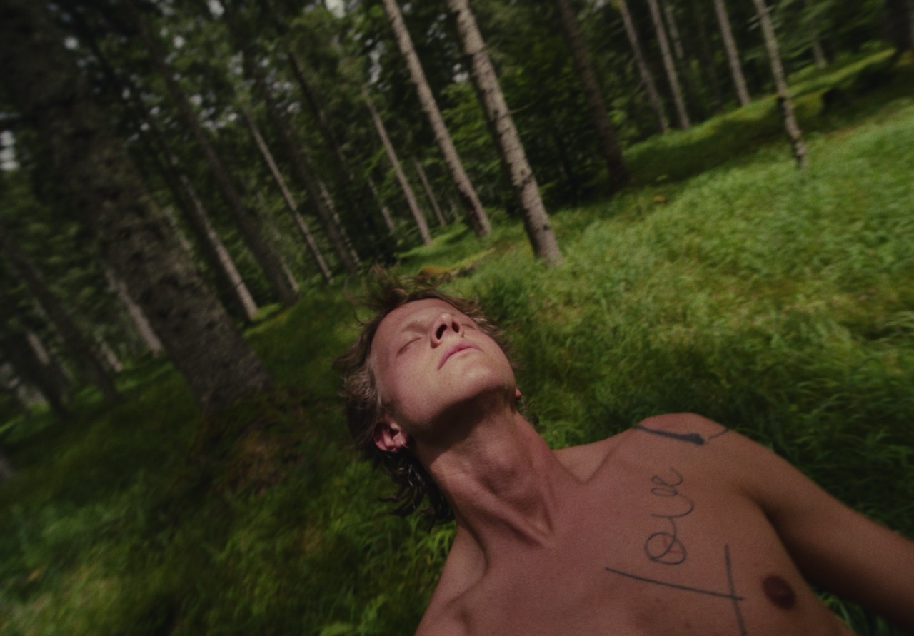 lukas karlinger  - image 6